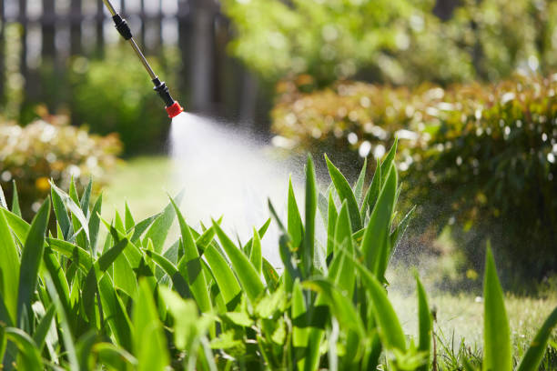 24/7 Emergency Wasp Removal experts in Charenton, LA
