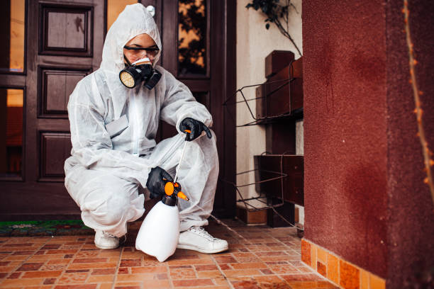 Reliable Wasp Removal contractor in Charenton, LA by Show Me Pest Control
